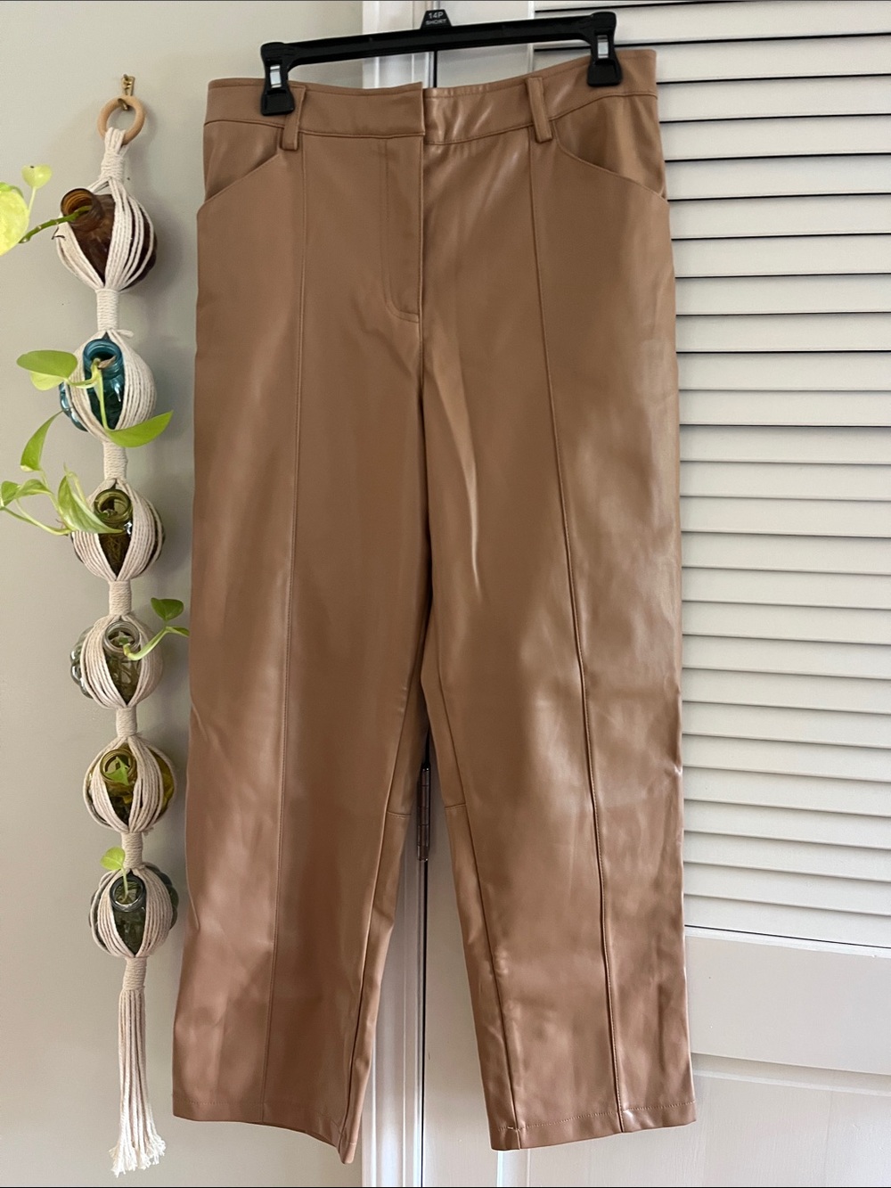 Faux Leather Pants in Camel